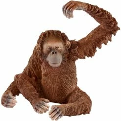 Schleich Orang-Outan - Femelle, Figurine